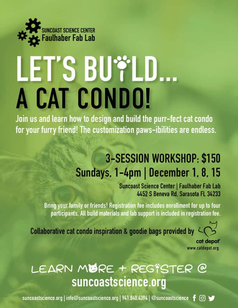 Cat Condo workshop flyer