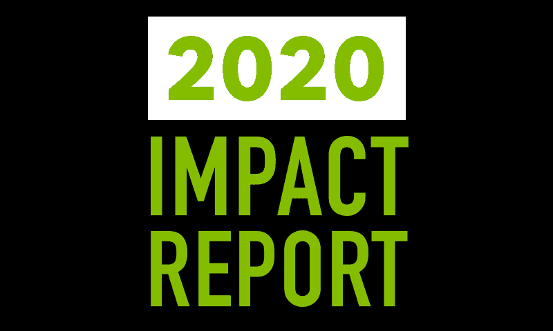 Annual Impact Report from 2019-2020